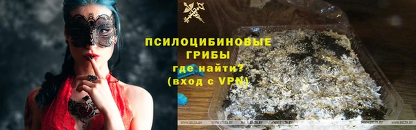твердый Арсеньев