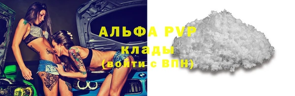твердый Арсеньев