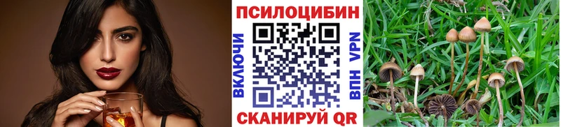 omg зеркало купить наркотик Рославль Галлюциногенные грибы Magic Shrooms